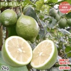  񻺥 ̵ ܸ 2kg SL 3Ȣ1Ȣޤ  ޥåԻ  ꡼ 
