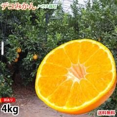 ǥݥ Ʊʼ ǥߤ  ̵ ϥ 4kg M3L ߤ ܸ β ߥ ̪