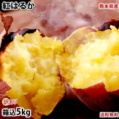 紅はるか 訳あり  5kg 箱込（内容量4kg＋補償分500g) 送料無料 さつまいも 熊本県産 サツマイモ 紅蜜芋 焼き芋 芋 いも