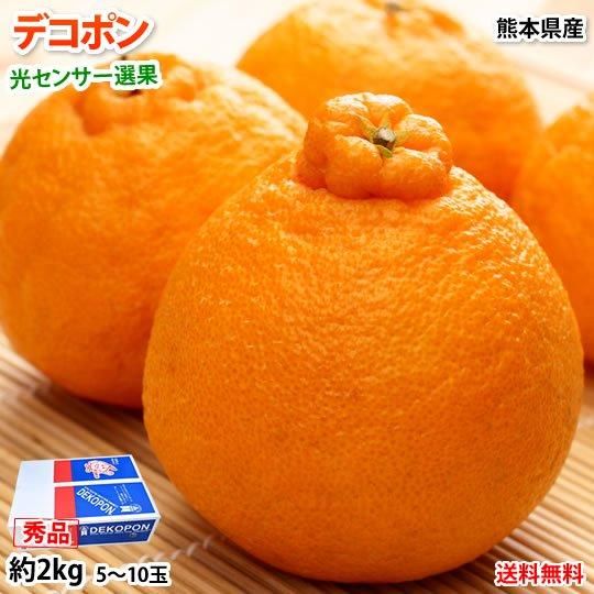 デコポン 光センサー選果 送料無料 秀品約2kg DEKOPON 熊本県産 デコポン 光センサー選果 送料無料 秀品約2kg DEKOPON 熊本県産