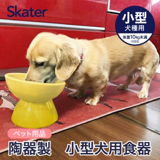 【ペット用品】陶器製 小型犬用食器　イエロー／CHOB2_536298