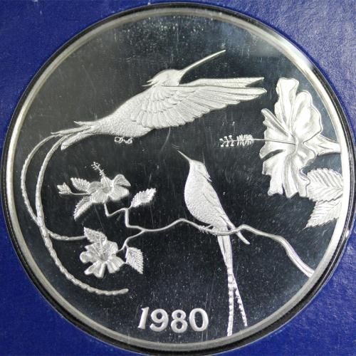 ޥ jamaica եʥϥɥ 10ɥ ץ롼  1980ǯ ̤