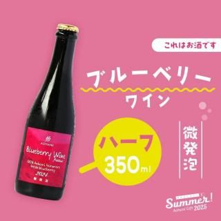 ڲƥե2025ۥ֥롼٥꡼磻2024 ڥƥ ϡ