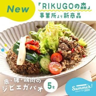 ڲƥե2025ۥӥѥ 5å