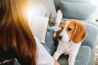 子どもによる犬への読み聞かせの実践の指針〜犬を導入した音読支援プログラムのあり方について考える〜