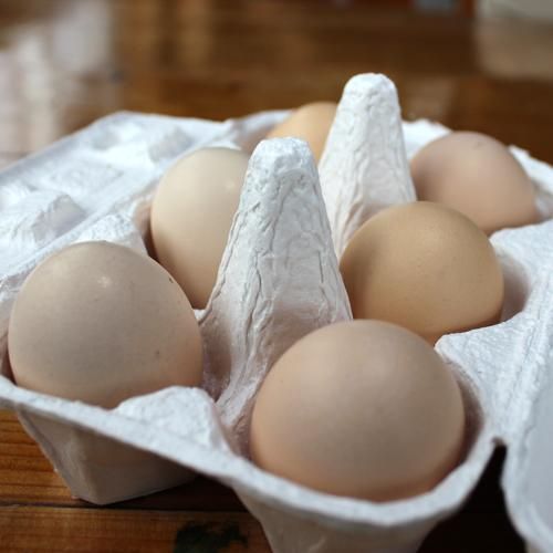 値引】いちょう葉カプセルGi】6月分.烏骨鶏卵黃200粒¥26,を