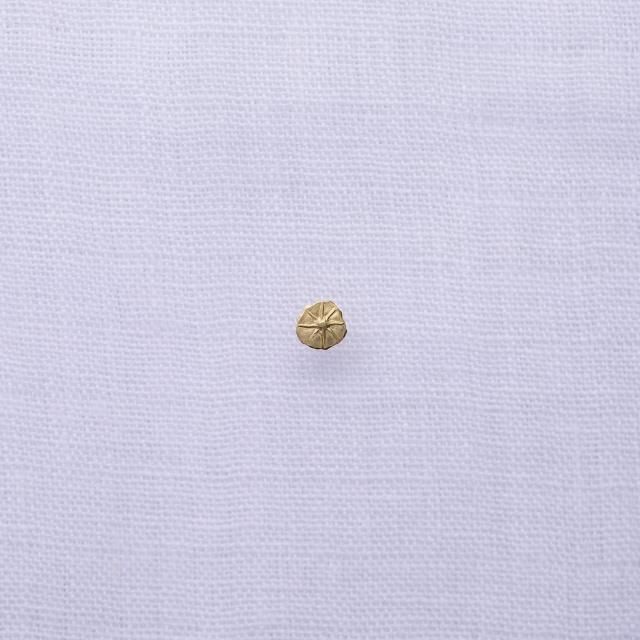 Gold Point / Silver Point - STUDIO T&Y ONLINE SHOP 公式通販