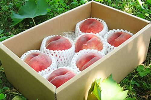 152.大好評 福島産 朝採り軟硬桃大玉12玉入り箱込み約4Kg常温発送 贈答可
