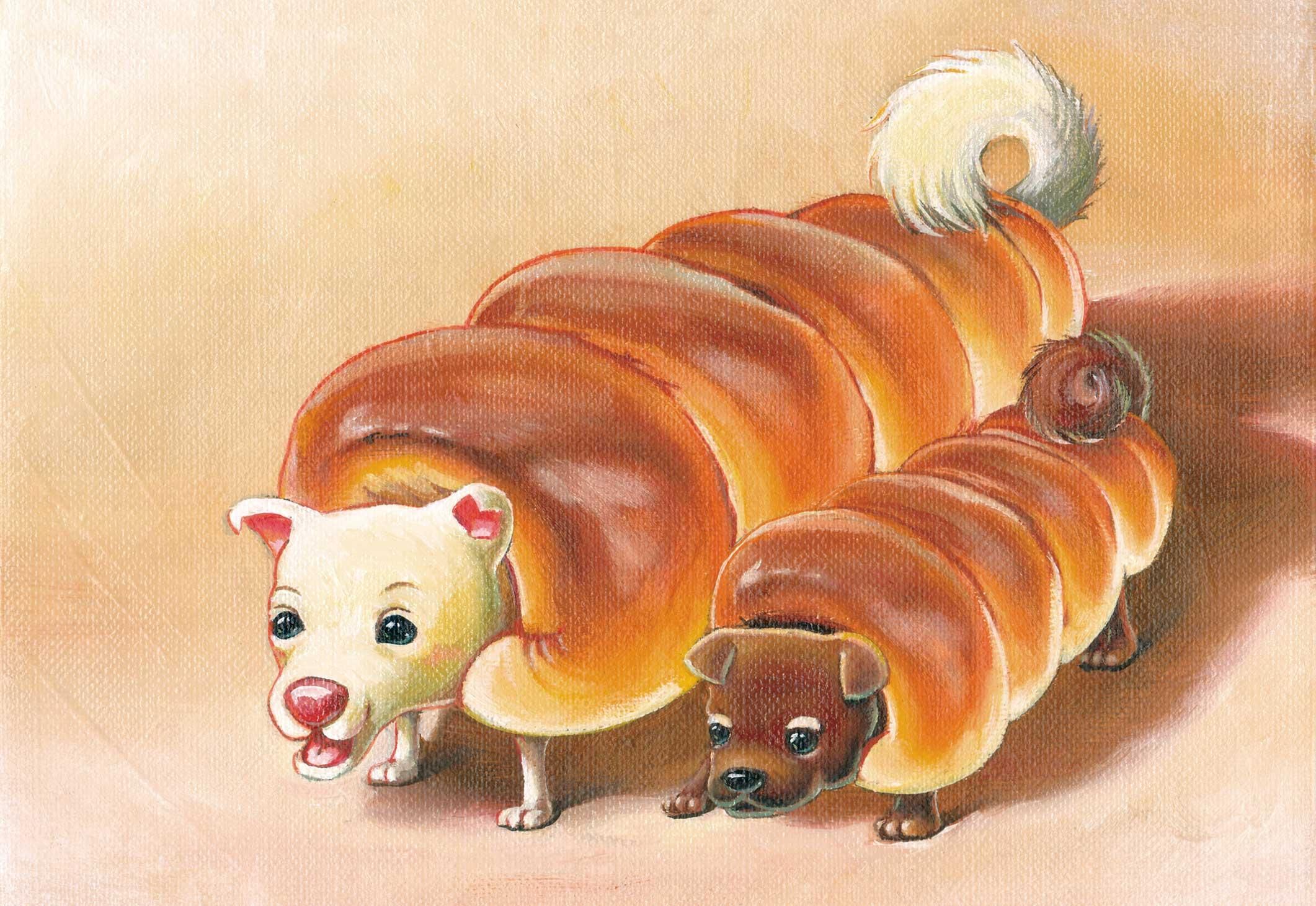 󥳥