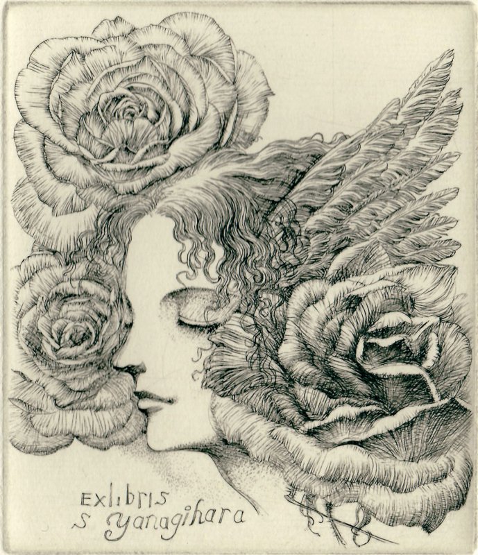 林 由紀子 銅版画蔵書票「眠る薔薇の夢」 - y art gallery