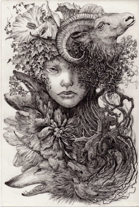 林 由紀子 銅版画（モノクロ）「未生の森の記憶」（シート） - y art