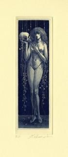 졡Ƽǲ衡MARIONETTE٥