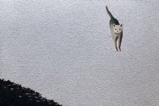 豊田 泰弘 油彩画『猫』