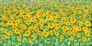 渡辺 裕司 - y art gallery