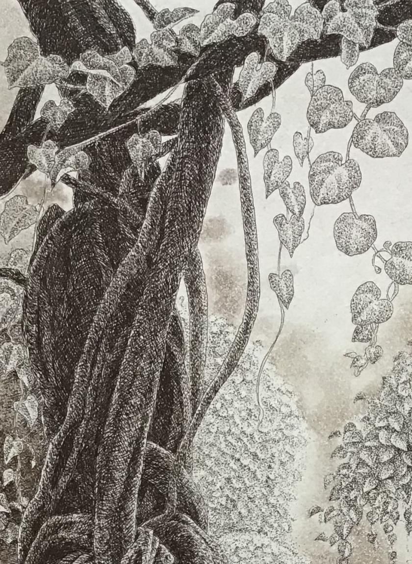 長野 順子 銅版画『夏のモンスター』＊シート - y art gallery