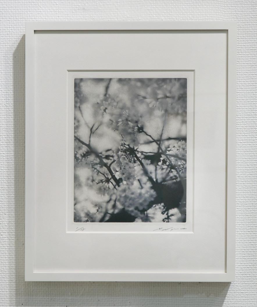 野嶋 革 銅版画「tone-April 01」＊額装品 - y art gallery
