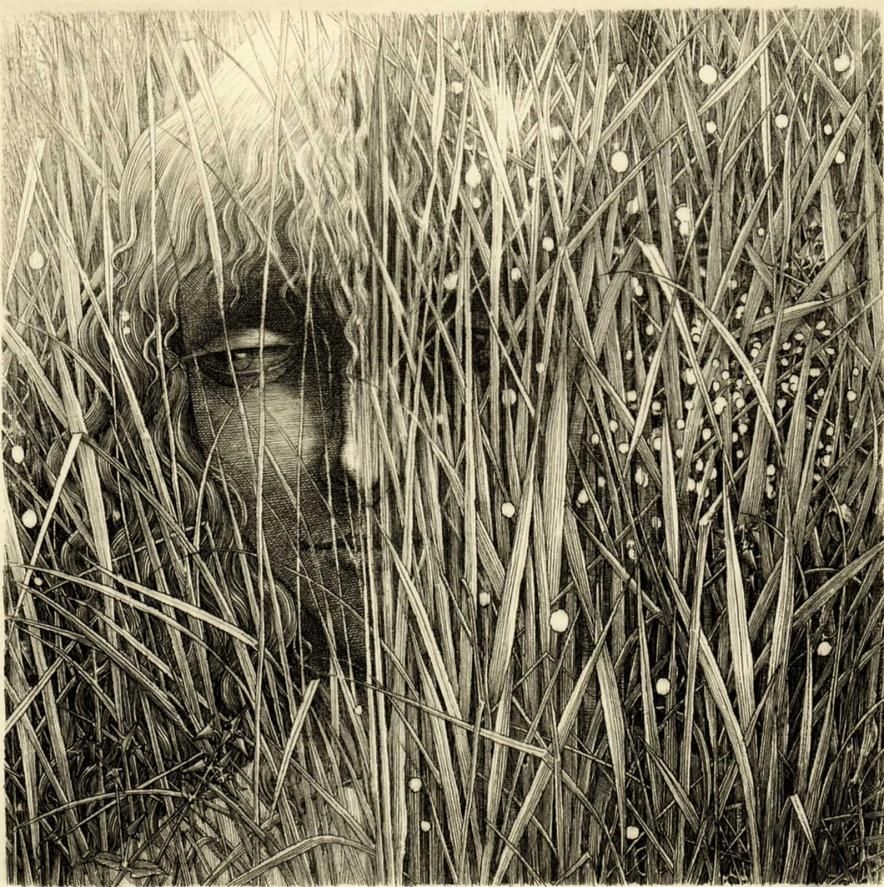 坂東壯一 銅版画『植物譚 I』＊シート - y art gallery