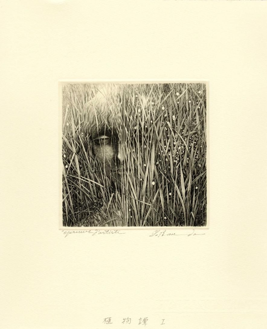 坂東壯一 銅版画『植物譚 I』＊シート - y art gallery