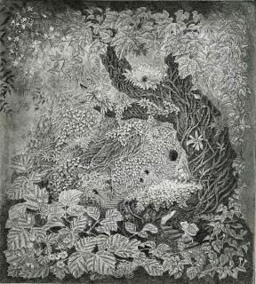 多賀 新 銅版画 魚シリーズ No.17「シーラカンス」＊シート - y