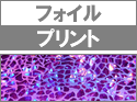 ץ<br>ե<br>[2wayȥå]<br>  <br>