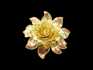 ɽա졼 ڥ󥰥ۡD3312