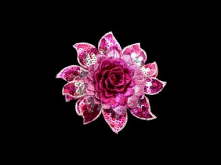 ɽա졼 ڥ󥰥ۡD3313