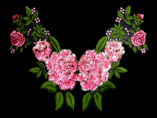 ɽա졼 ڥͥå饤ۡC2312