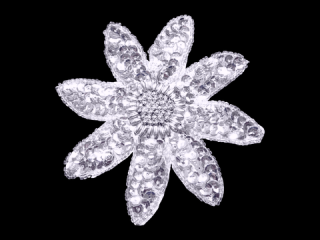  ѥ󥳡 Silver MT1511