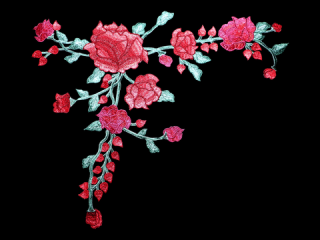 ɽա졼 ڥͥå饤ۡC2316