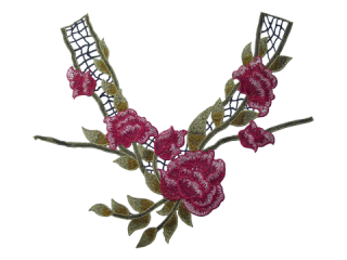 ɽա졼 ڥͥå饤ۡC2321