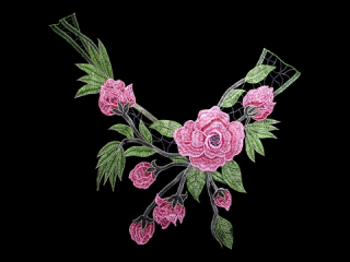 ɽա졼 ڥͥå饤ۡC2324