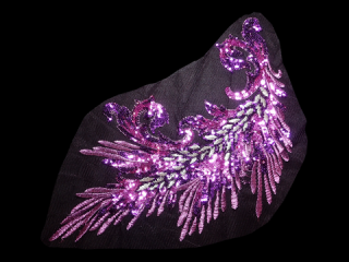 ɽա졼 ڥ󥰥ۡD3623