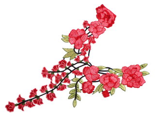 ɽա졼 ڥͥå饤ۡC2345