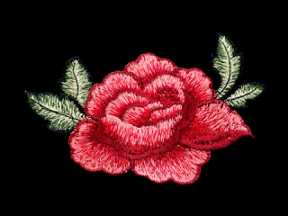 ɽա졼 ڥ󥰥ۡC2525