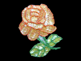  ѥ󥳡 Multicolor1531