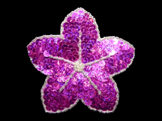  ѥ󥳡 HotPink HG1536