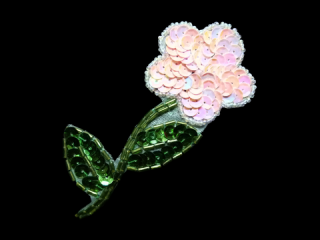  ѥ󥳡 Multicolor1538