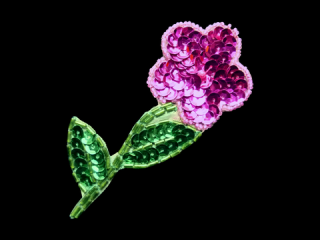  ѥ󥳡 Multicolor1539