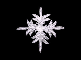  ѥ󥳡 Clear AB5183B