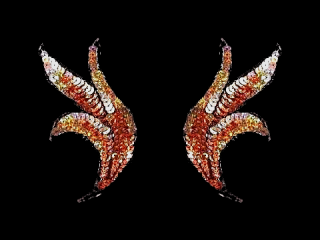  ѥ󥳡 Multicolor HG5432C