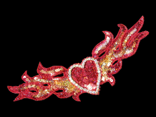  ѥ󥳡 Multicolor HG5491A