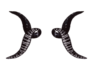  ѥ󥳡 Multicolor5532B