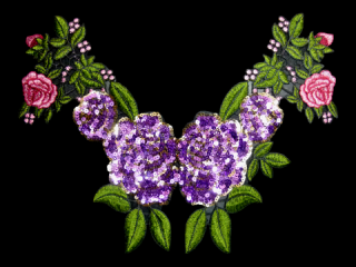 ɽա졼 ڥͥå饤ۡC2311C