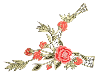 ɽա졼 ڥͥå饤ۡC2346