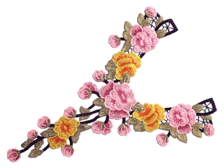 ɽա졼 ڥͥå饤ۡC2337