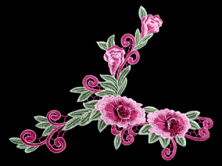 ɽա졼 ڥͥå饤ۡC2336