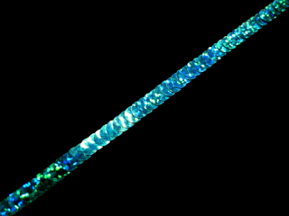  ȥå ѥ󥳡֥졼 1Row SkyBlue HG1159