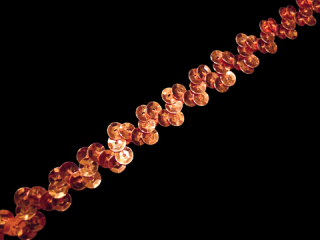  ȥå ѥ󥳡֥졼 1Row Orange MT1105