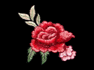 ɽա졼 ڥ󥰥ۡC2523