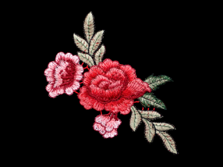 ɽա졼 ڥ󥰥ۡC2521